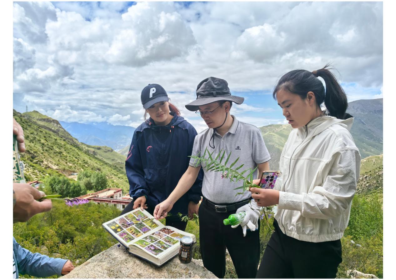 66ced103d6fa2.png 認(rèn)藥.png